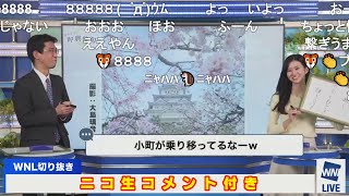 【大島璃音】のんちゃんぐっさん 俳句部春の大発表会 ニコ生コメント付き【山口剛央】