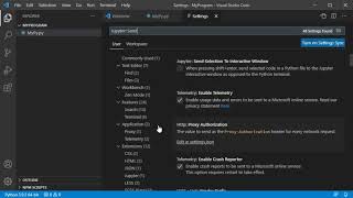 Jupyter Interactive Window in Visual Studio Code