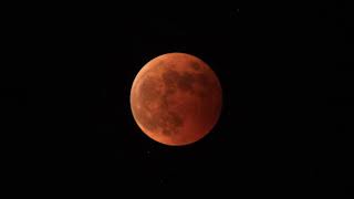 ～皆既月食～ Total eclipse of the moon　2021.11.8