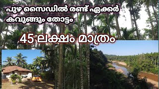 (soldout)പുഴ സൈഡിൽ രണ്ടേക്കർ കവുങ്ങിൻ തോട്ടം #realestate