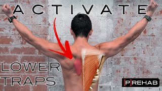 Improve Your Lower Trap Activation