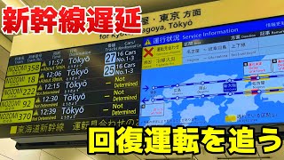 【遅延発生】東海道新幹線が沿線火災で遅延！回復運転を追ってみた