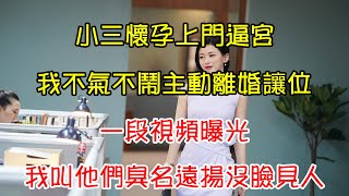 小三懷孕上門逼宮，我不氣不鬧主動離婚讓位，一段視頻曝光，我叫他們臭名遠揚沒臉見人 | 翠花的秘密