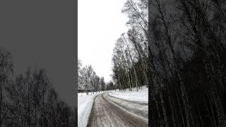 Winter Bliss: Snowy Roads and Frosty Trees   #snow #visitfinland #winter #finlandadventure