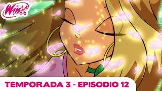 Winx Club | Latinoamérica - Temporada 3 Episodio 12 - Las lágrimas del Sauce Negro | COMPLETO