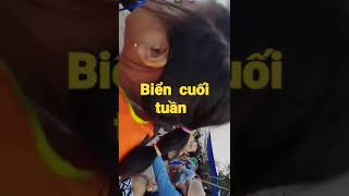 biển  Bãi  Dài  Khánh Hòa