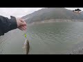 vibrasyon yemlerle Şahane bir perch avı tatlısu levreği avı perch fishing bÖlÜm 2