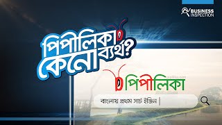 বাংলা সার্চ ইঞ্জিন পিপীলিকা কেনো ব্যর্থ | Why Bangla Search Engine Pipilika Failed