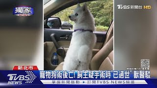 #獨家 寵物狗術後亡! 飼主疑手術時「已過世」 獸醫駁｜TVBS新聞