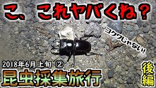 【カブトムシ・クワガタ】 昆虫採集旅行 2018年6月上旬② 後編 「初めて見たクワガタ」