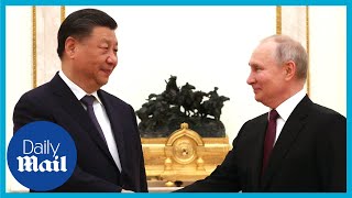 Putin welcomes China's Xi Jinping to settle Ukraine Russia war