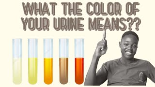 Decoding the Clues: What Your Urine Reveals About Your Health" #healthmatters #health #nurse #fyp