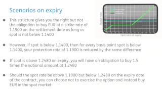 1 5 x leveraged Risk Reversal Plus