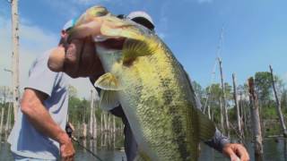 Great Fishing on Lake Naconiche