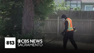 City responds on illegal encroachments in Sacramento neighborhood
