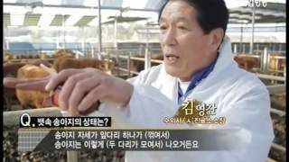 국가공인 1인자를 만나다