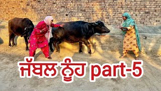 ਜੱਬਲ ਨੂੰਹ part-5||#punjabishortstory2023||#guribebe