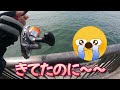 【女のひとり釣り】フカセ釣りに挑戦！女子ひとりでチヌ 黒鯛 を狙う！釣れたら楽しすぎた！