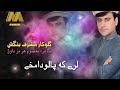 Os ba de Amel Dana Dana Karama  💎 Musharaf Bangash 🎤 Pashto New song  🎶🎶🎶🎶
