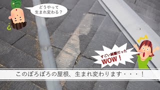 【郡山塗装】シーガードの設置について解説致します！！