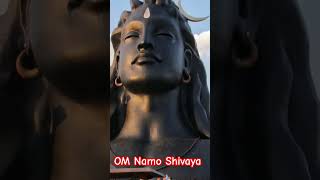 OM Namo Shivaya