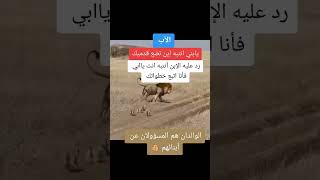 الاب يابني انتبه اين تضع قدنيك رد عليه الابن انتبه انت يابي فانا اتبع خطواتك