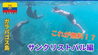 【無料興奮】物価の高いガラパゴス諸島でお金をかけずにこんなに楽しめるの？？