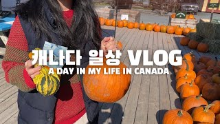 캐나다 일상 브이로그 🇨🇦 | 가을 맞이 호박 마켓 구경 🎃 | 퀴즈와 숙제에 허덕이는 컬리지 학생의 일주일