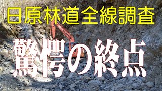 通行止が続く日原林道全線調査2021驚愕の結末＠東京都奥多摩町