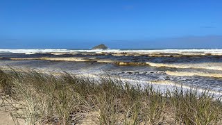 Te Araroa Days 3-6 | 40-116 kms Bluff Campsite to Kaitaia