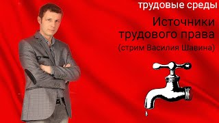 Источники трудового права (стрим Василия Шавина)