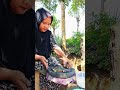 Tumis paku masakan tradisional.