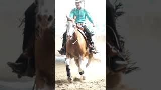 SPORT TV22: Spektakulärer Sliding Stop beim Reining - Westernreiten #shorts