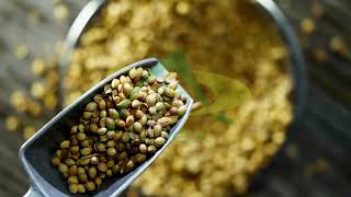 Coriander Seeds | | Exporters from India | Apex International