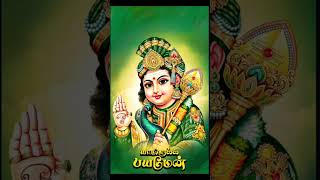 என் கவலைகளை தீர்த்தருல ஓடி வா முருகா #shortvideo #murugasongs #shotsviral #tamil #ஓம்முருகா