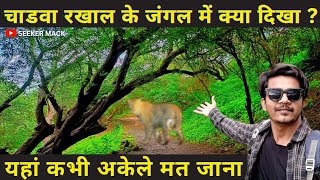 कच्छ का Jungle जहां सारे Wild Animals मील जायेंगे | इसकी दहाड़ ने मुझे डरा दिया था | Chadva Rakhal