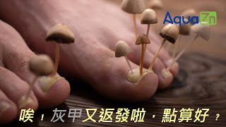 清鋅AquaZn納米消毒液之[舒甲寶] - 灰甲篇