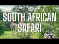 South African Safari - Makalali Reserve