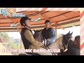 Selow Donk Bang Kuda |2Days&1Night|SUB INDO|211017 Siaran KBS WORLD TV|