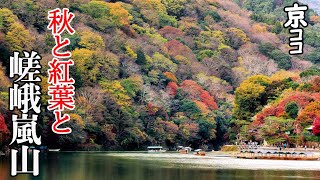 【京都おすすめ】感動！　秋と紅葉と嵯峨嵐山【京のココ見といやす】【京都観光旅行】