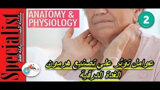 Thyroid- 2| تصنيع هرمون الغدة الدرقية | أهم المركبات الهامة للتصنيع | |ووظيفته| خميس الصيادلة