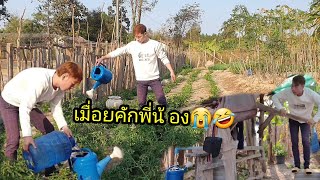 ep: 467 หดหมากพิกช่วยแม่นางโฮงฮ่ง ทั้งหดทั้งจ่ม🤣🤣🤣