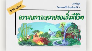 แบบฝึกหัดเรื่อง ความหลากหลายของสิ่งมีชีวิต | วิทยาศาสตร์ ป.4