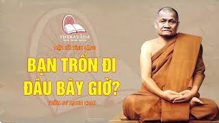 8. Bạn Trốn Đâu Bây Giờ? | Thiền Sư Ajahn Chah - Mặt Hồ Tĩnh Lặng