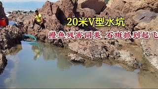 【海島輝少】 大浪天挑戰20米V型水坑 昂貴石斑抓到爽飛 鰻魚撕咬同類互不相讓