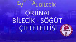 BİLECİK - SÖĞÜT ÇİFTETELLİSİ (Orjinal)