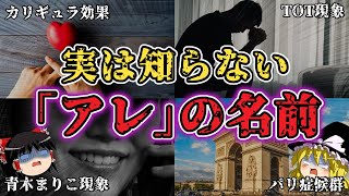 【雑学】知ってた？実は名前がある『身近な現象』まとめ【ゆっくり解説】