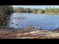 pawtuckaway state park campground tour whispers asmr