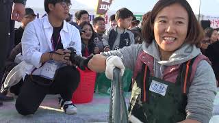 방어 맨손잡기 체험 - 최남단 모슬포 방어축제 / 제주도 2018년 11월