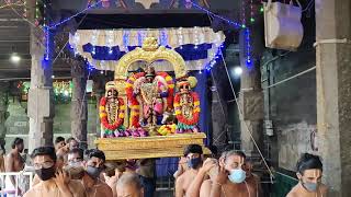 Sri Parthasarathy Swamy Iraapathu Day 8 Paramapadha Vasal Purapaadu